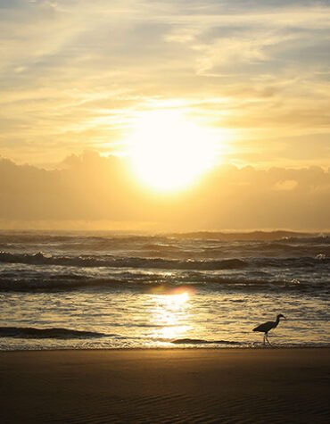 O nascer e o pôr do sol