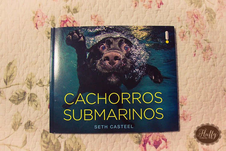 resenha do livro Cachorros Submarinos