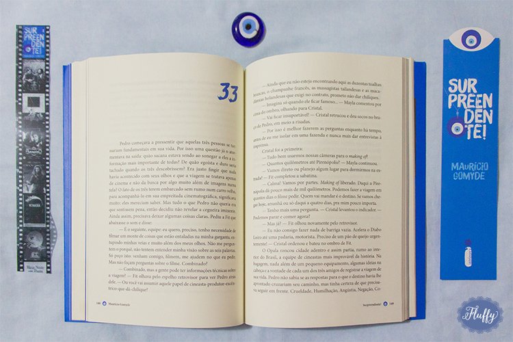 resenha do livro Surpreendente Mauricio Gomyde