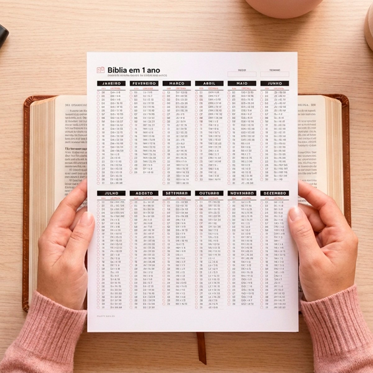 plano de leitura bíblica